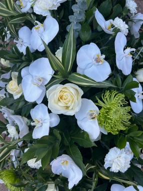 Beautiful 5ft White Orchid Coffin Spray