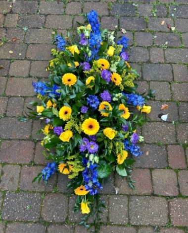 Blues and Yellows Coffin Spray